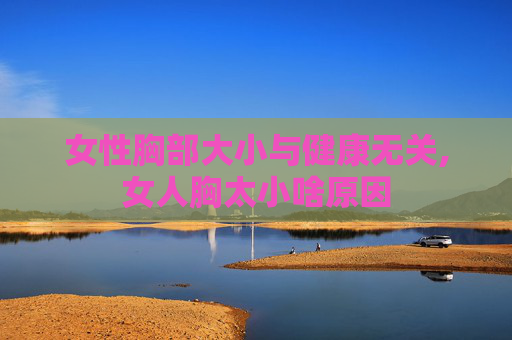 女性胸部大小与健康无关,女人胸太小啥原因