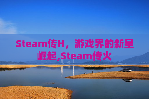 Steam传H，游戏界的新星崛起,Steam传火