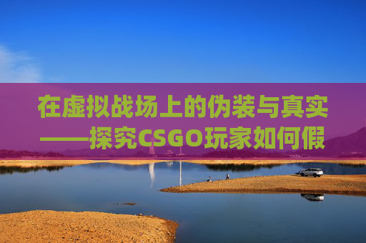 在虚拟战场上的伪装与真实——探究CSGO玩家如何假装被封,csgo封号前兆