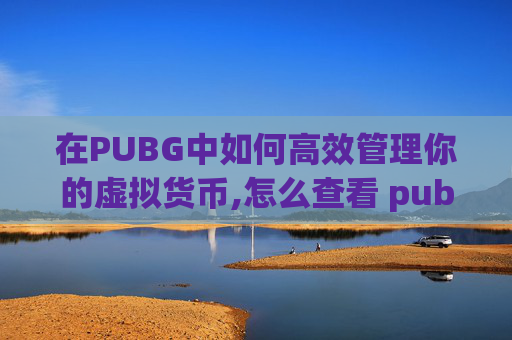 在PUBG中如何高效管理你的虚拟货币,怎么查看 pubgmobile充值了多少钱
