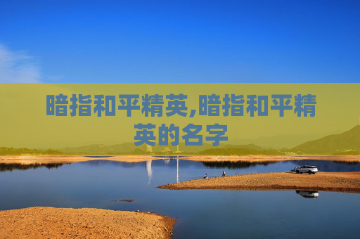 暗指和平精英,暗指和平精英的名字