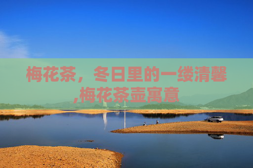 梅花茶，冬日里的一缕清馨,梅花茶壶寓意