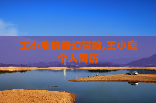 王小鹿的奇幻冒险,王小鹿个人简历
