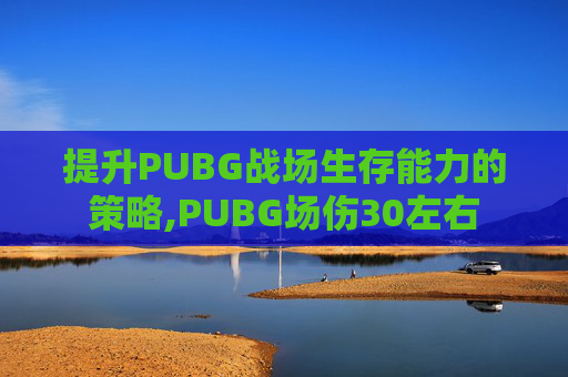 提升PUBG战场生存能力的策略,PUBG场伤30左右