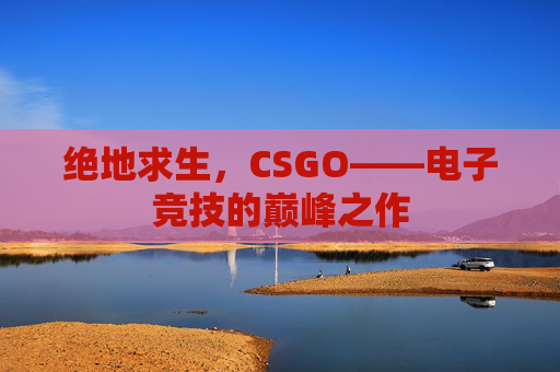 绝地求生，CSGO——电子竞技的巅峰之作