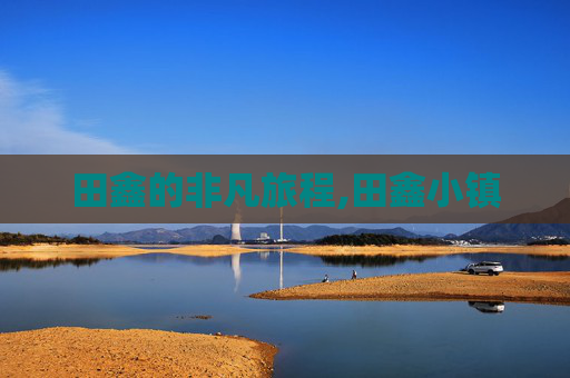 田鑫的非凡旅程,田鑫小镇