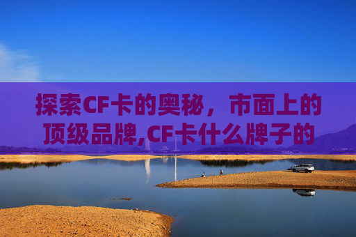 探索CF卡的奥秘，市面上的顶级品牌,CF卡什么牌子的好