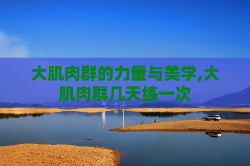大肌肉群的力量与美学,大肌肉群几天练一次