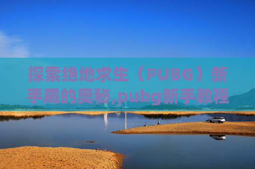 探索绝地求生（PUBG）新手局的奥秘,pubg新手教程在哪