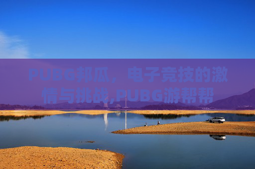 PUBG邦瓜，电子竞技的激情与挑战,PUBG游帮帮
