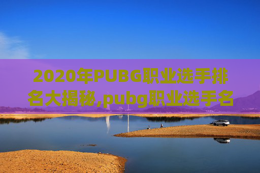 2020年PUBG职业选手排名大揭秘,pubg职业选手名单