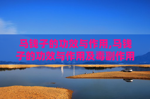 马钱子的功效与作用,马钱子的功效与作用及毒副作用