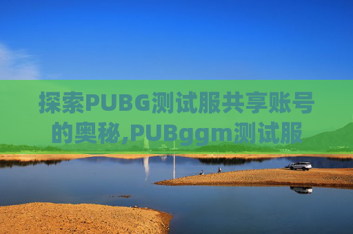探索PUBG测试服共享账号的奥秘,PUBggm测试服