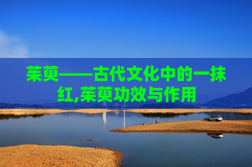 茱萸——古代文化中的一抹红,茱萸功效与作用 茱萸——古代文化中的一抹红,茱萸功效与作用