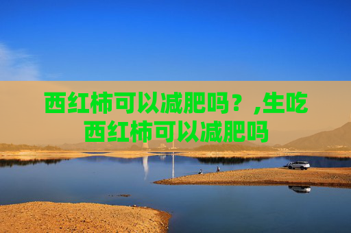西红柿可以减肥吗?,生吃西红柿可以减肥吗 西红柿可以减肥吗?,生吃西红柿可以减肥吗