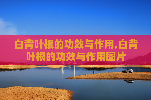 白背叶根的功效与作用,白背叶根的功效与作用图片 白背叶根的功效与作用,白背叶根的功效与作用图片