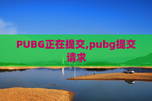 PUBG正在提交,pubg提交请求 PUBG正在提交,pubg提交请求