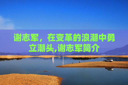谢志军,在变革的浪潮中勇立潮头,谢志军简介 谢志军,在变革的浪潮中勇立潮头,谢志军简介
