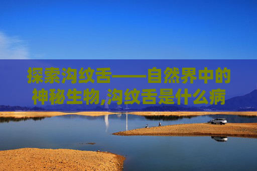 探索沟纹舌——自然界中的神秘生物,沟纹舌是什么病 探索沟纹舌——自然界中的神秘生物,沟纹舌是什么病