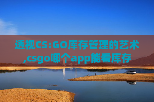 透视CS:GO库存管理的艺术,csgo哪个app能看库存 透视CS:GO库存管理的艺术,csgo哪个app能看库存
