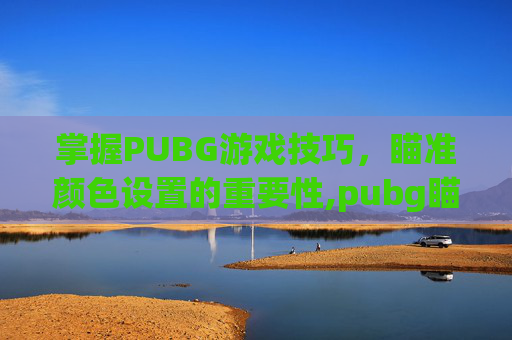 掌握PUBG游戏技巧，瞄准颜色设置的重要性,pubg瞄准和瞄准视角怎么设置