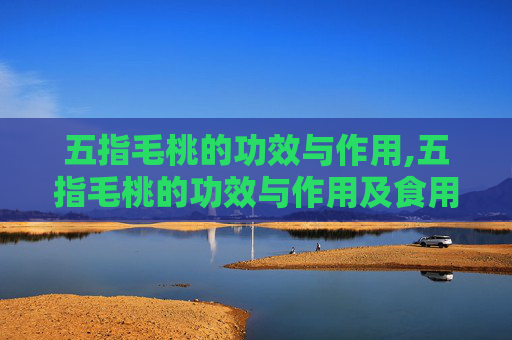 五指毛桃的功效与作用,五指毛桃的功效与作用及食用方法