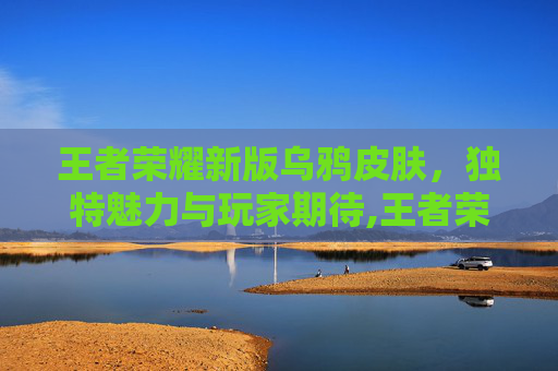 王者荣耀新版乌鸦皮肤，独特魅力与玩家期待,王者荣耀新版乌鸦皮肤多少钱