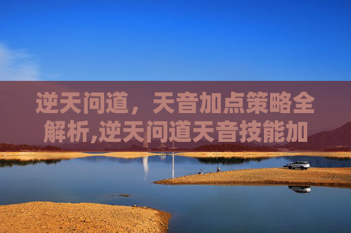 逆天问道，天音加点策略全解析,逆天问道天音技能加点