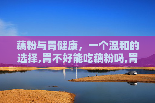藕粉与胃健康，一个温和的选择,胃不好能吃藕粉吗,胃不好能不能吃冬瓜