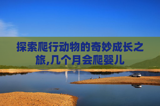 探索爬行动物的奇妙成长之旅,几个月会爬婴儿 探索爬行动物的奇妙成长之旅,几个月会爬婴儿