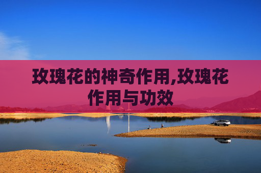 玫瑰花的神奇作用,玫瑰花作用与功效 玫瑰花的神奇作用,玫瑰花作用与功效