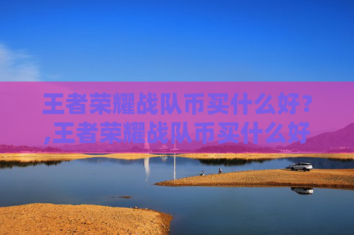 王者荣耀战队币买什么好？,王者荣耀战队币买什么好一点