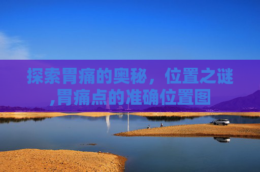 探索胃痛的奥秘，位置之谜,胃痛点的准确位置图