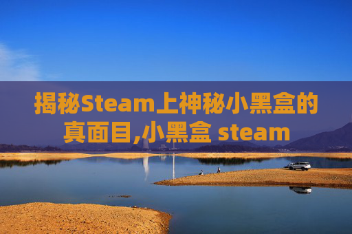揭秘Steam上神秘小黑盒的真面目,小黑盒 steam