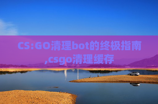 CS:GO清理bot的终极指南,csgo清理缓存
