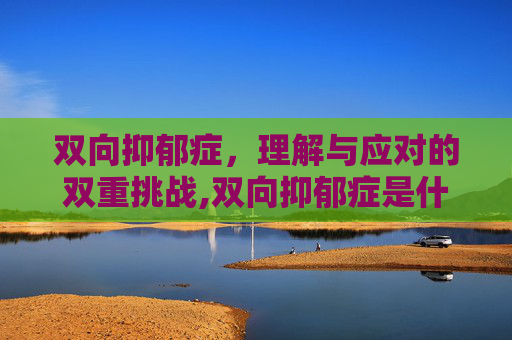 双向抑郁症，理解与应对的双重挑战,双向抑郁症是什么