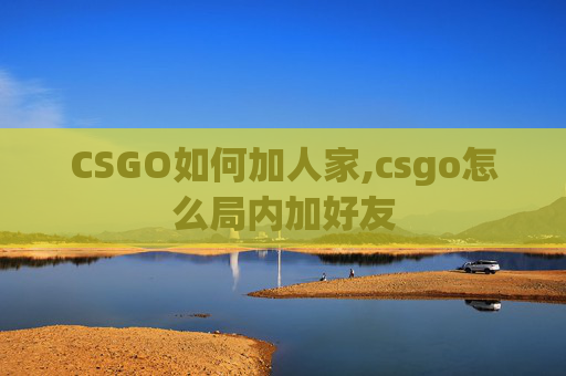 CSGO如何加人家,csgo怎么局内加好友