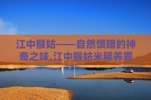 江中猴姑——自然馈赠的神奇之味,江中猴姑米稀养胃吗