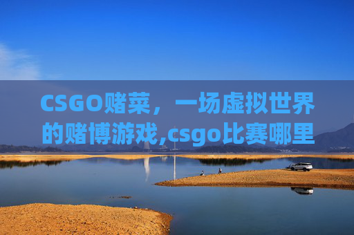 CSGO赌菜，一场虚拟世界的赌博游戏,csgo比赛哪里赌