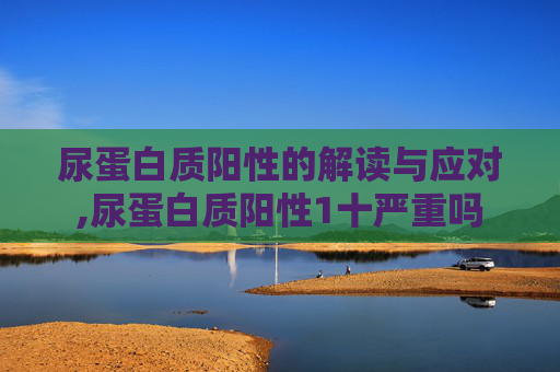 尿蛋白质阳性的解读与应对,尿蛋白质阳性1十严重吗