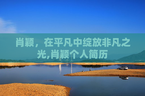 肖颖，在平凡中绽放非凡之光,肖颖个人简历