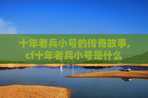 十年老兵小号的传奇故事,cf十年老兵小号是什么