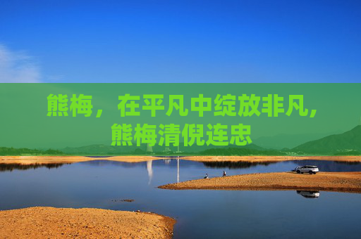 熊梅，在平凡中绽放非凡,熊梅清倪连忠