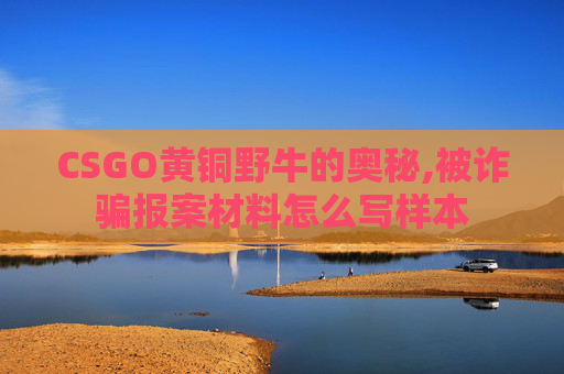 CSGO黄铜野牛的奥秘,被诈骗报案材料怎么写样本