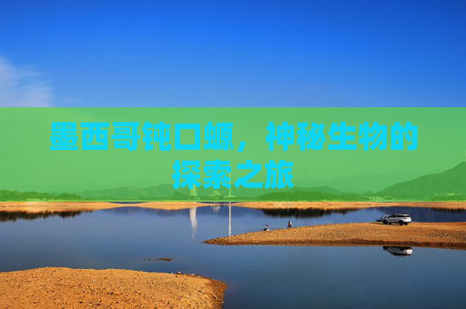 墨西哥钝口螈，神秘生物的探索之旅