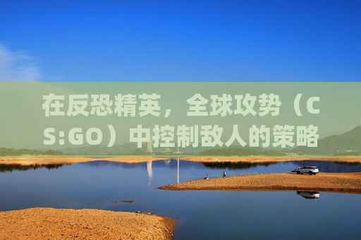 在反恐精英，全球攻势（CS:GO）中控制敌人的策略,csgo控人机按哪个键