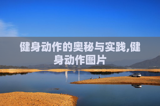健身动作的奥秘与实践,健身动作图片