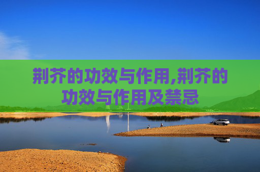 荆芥的功效与作用,荆芥的功效与作用及禁忌