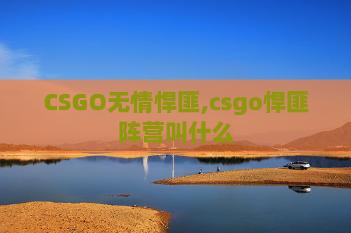CSGO无情悍匪,csgo悍匪阵营叫什么