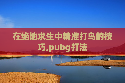 在绝地求生中精准打鸟的技巧,pubg打法